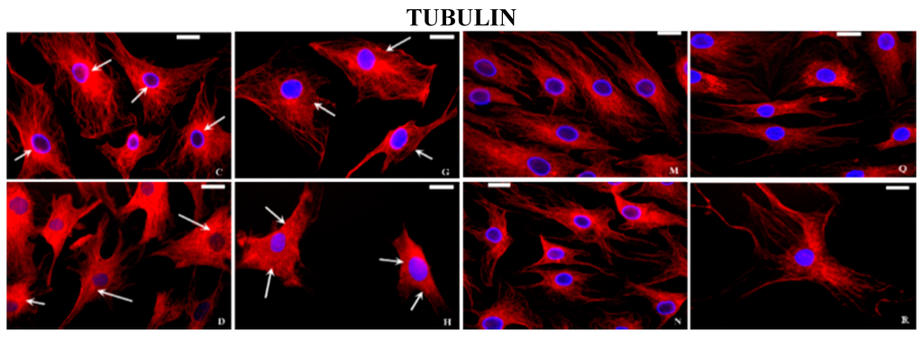 Ijms 16 25936 g004b 1024