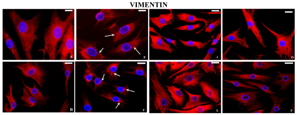 Ijms 16 25936 g005a 1024