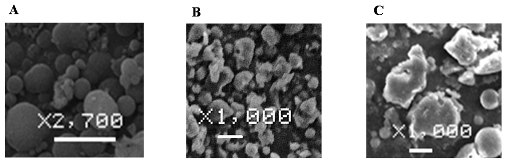 Ijms 16 25949 g001 1024