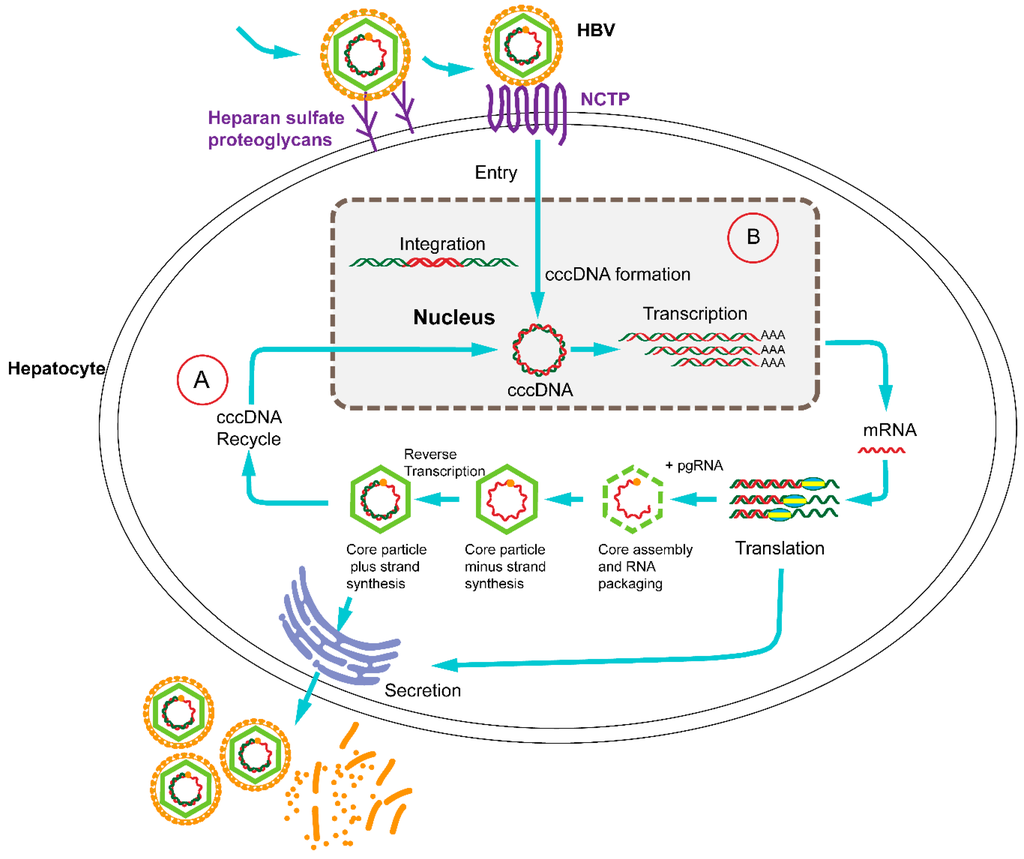 Ijms 16 25950 g001 1024