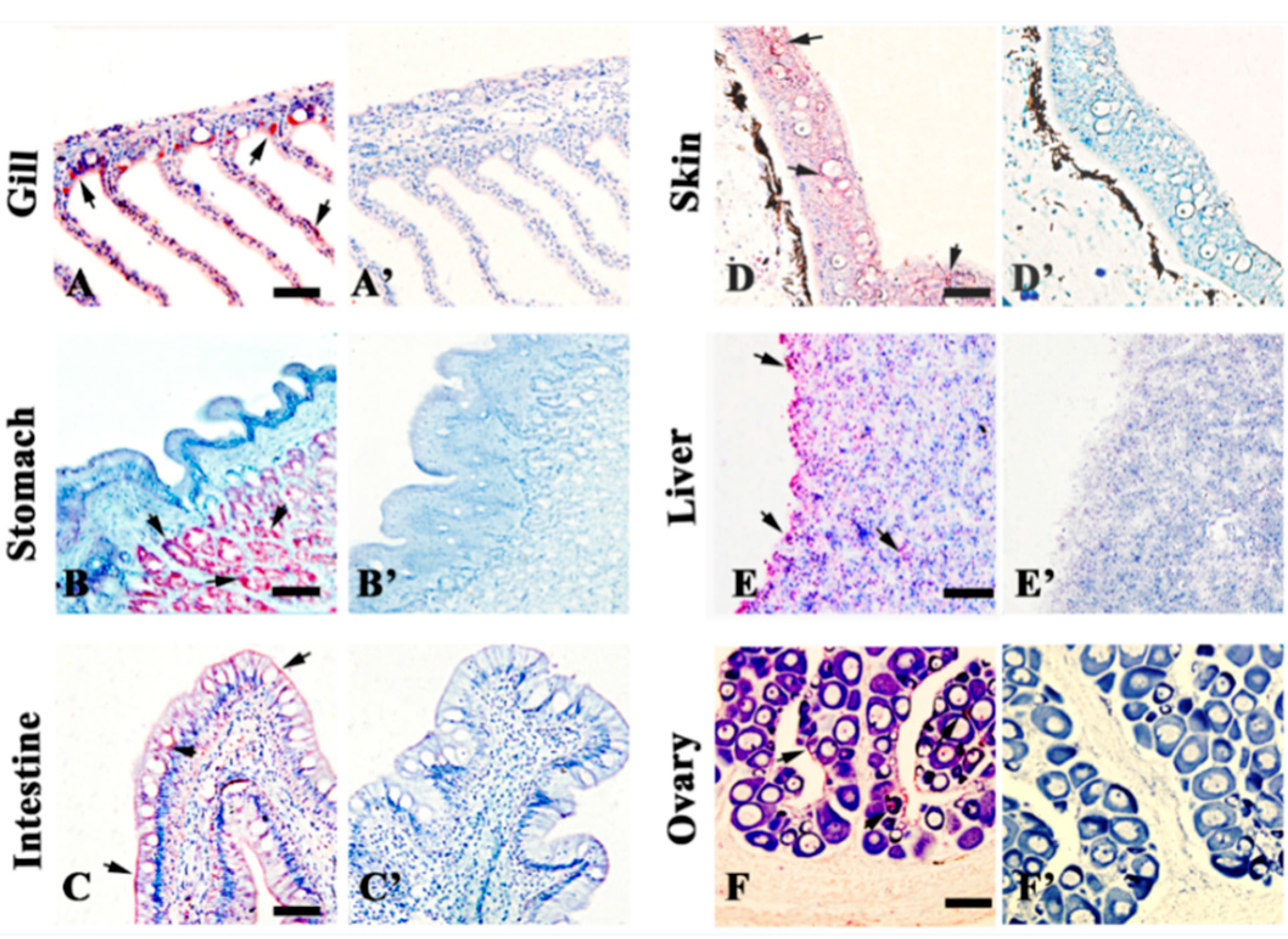 Ijms 16 25974 g003