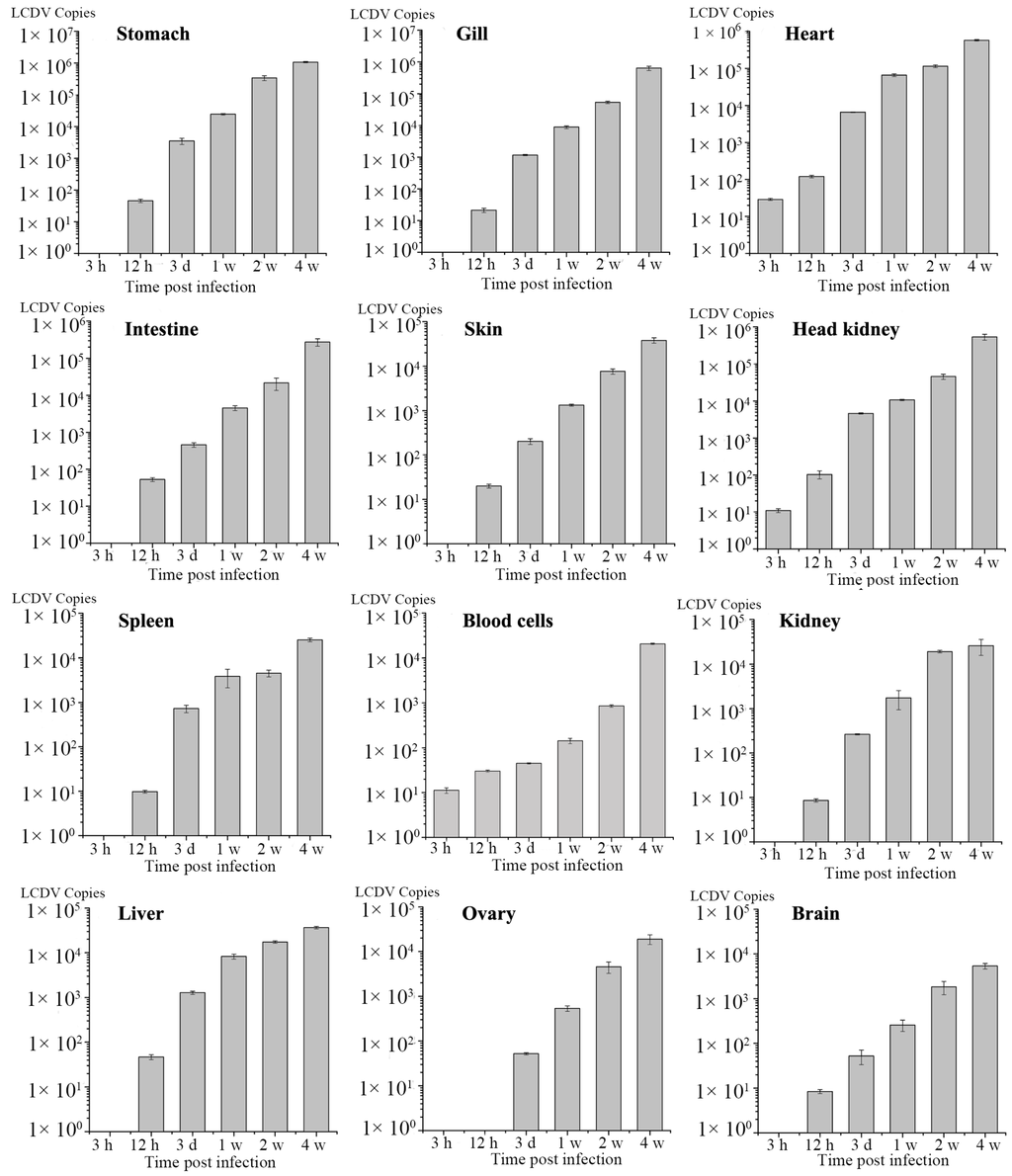 Ijms 16 25974 g006 1024