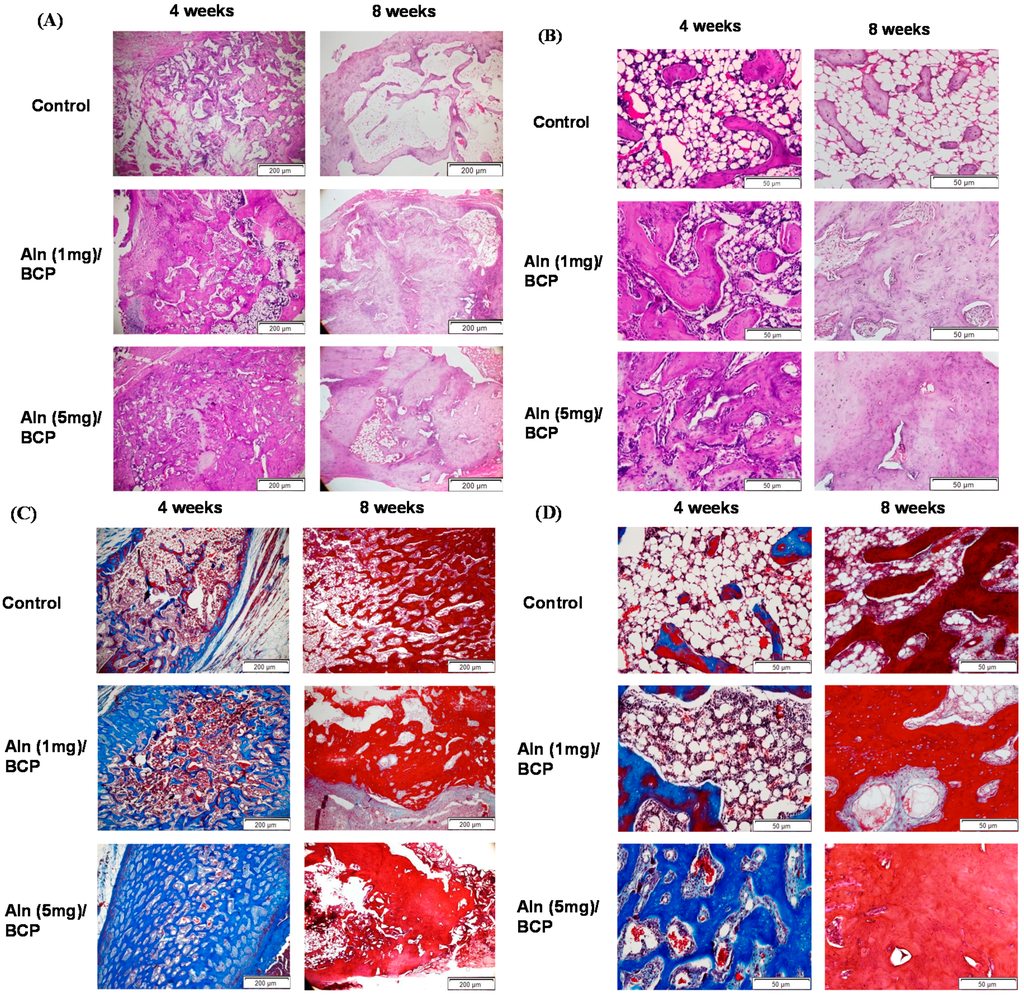 Ijms 16 25982 g010 1024