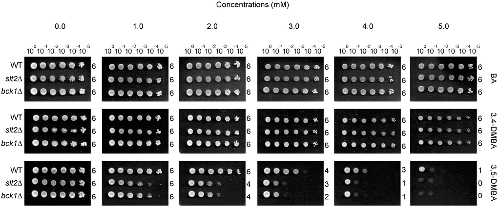 Ijms 16 25988 g002 1024