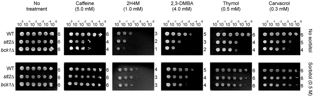 Ijms 16 25988 g003 1024