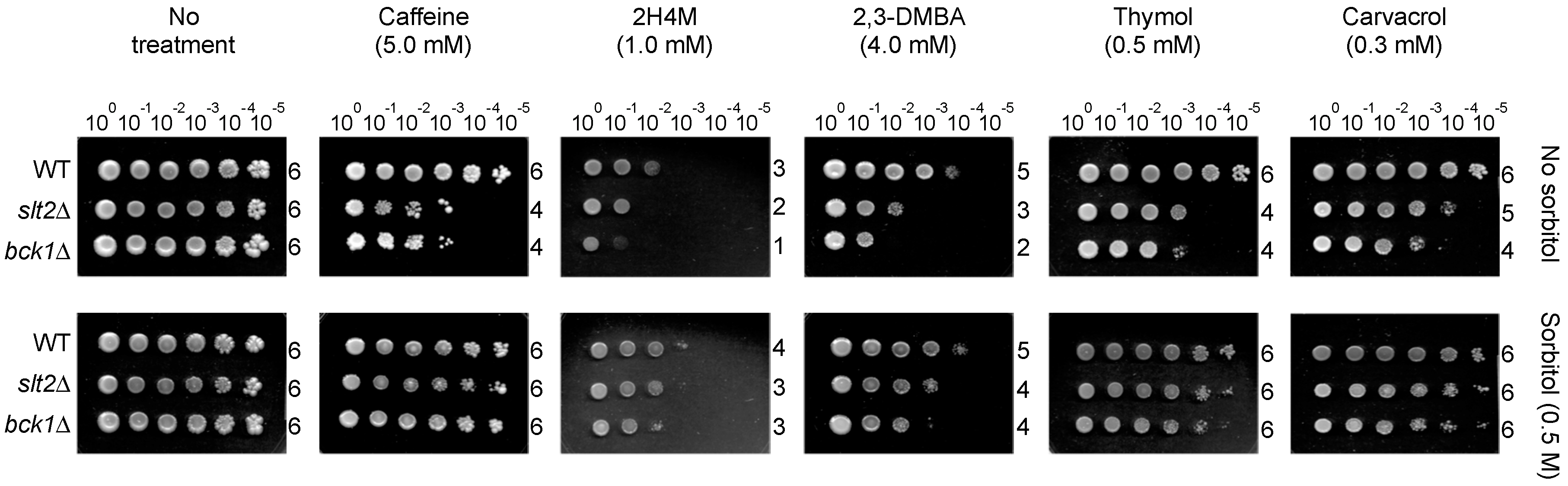 Ijms 16 25988 g003