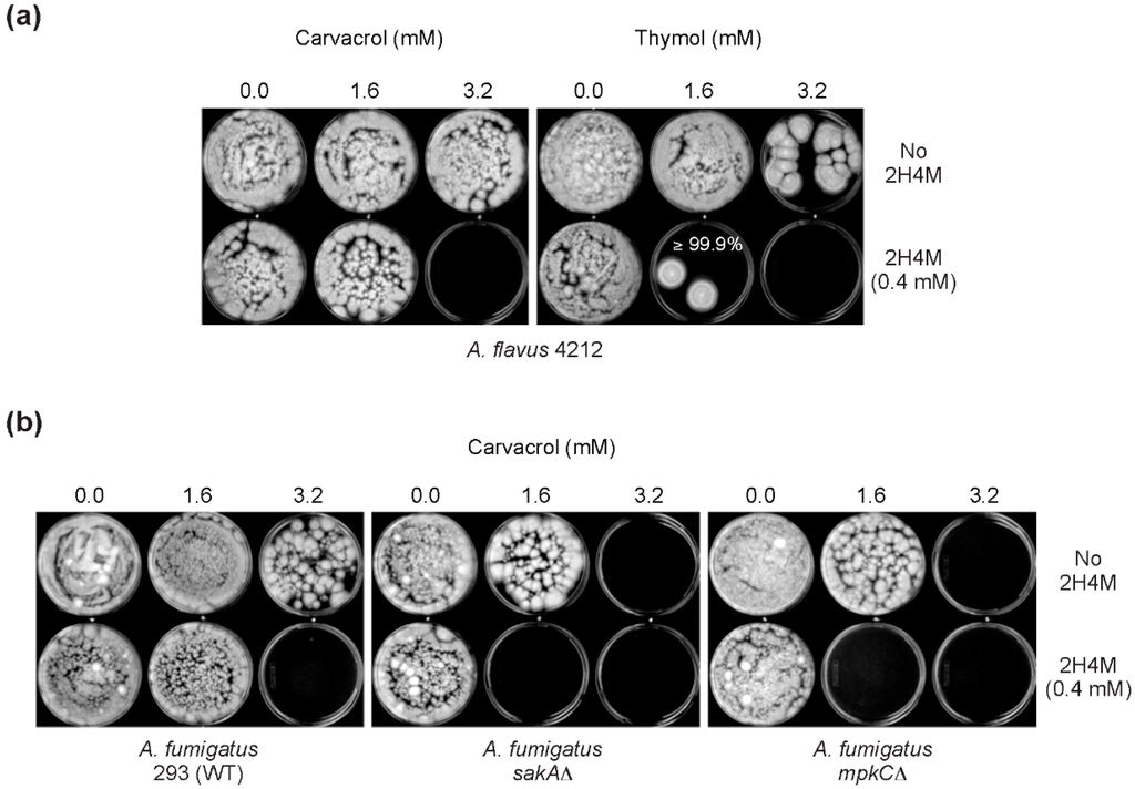 Ijms 16 25988 g005 1024