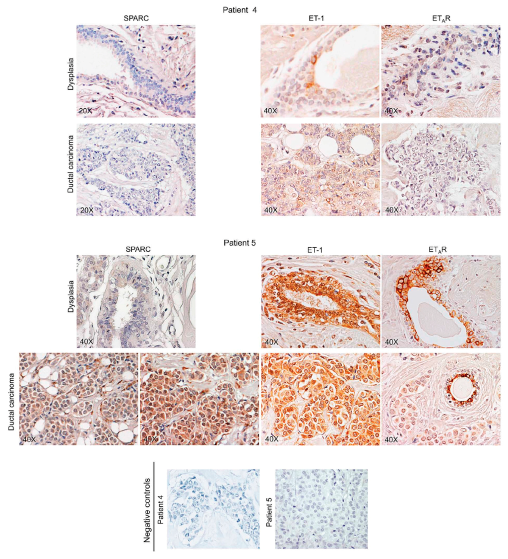 Ijms 16 25997 g006 1024