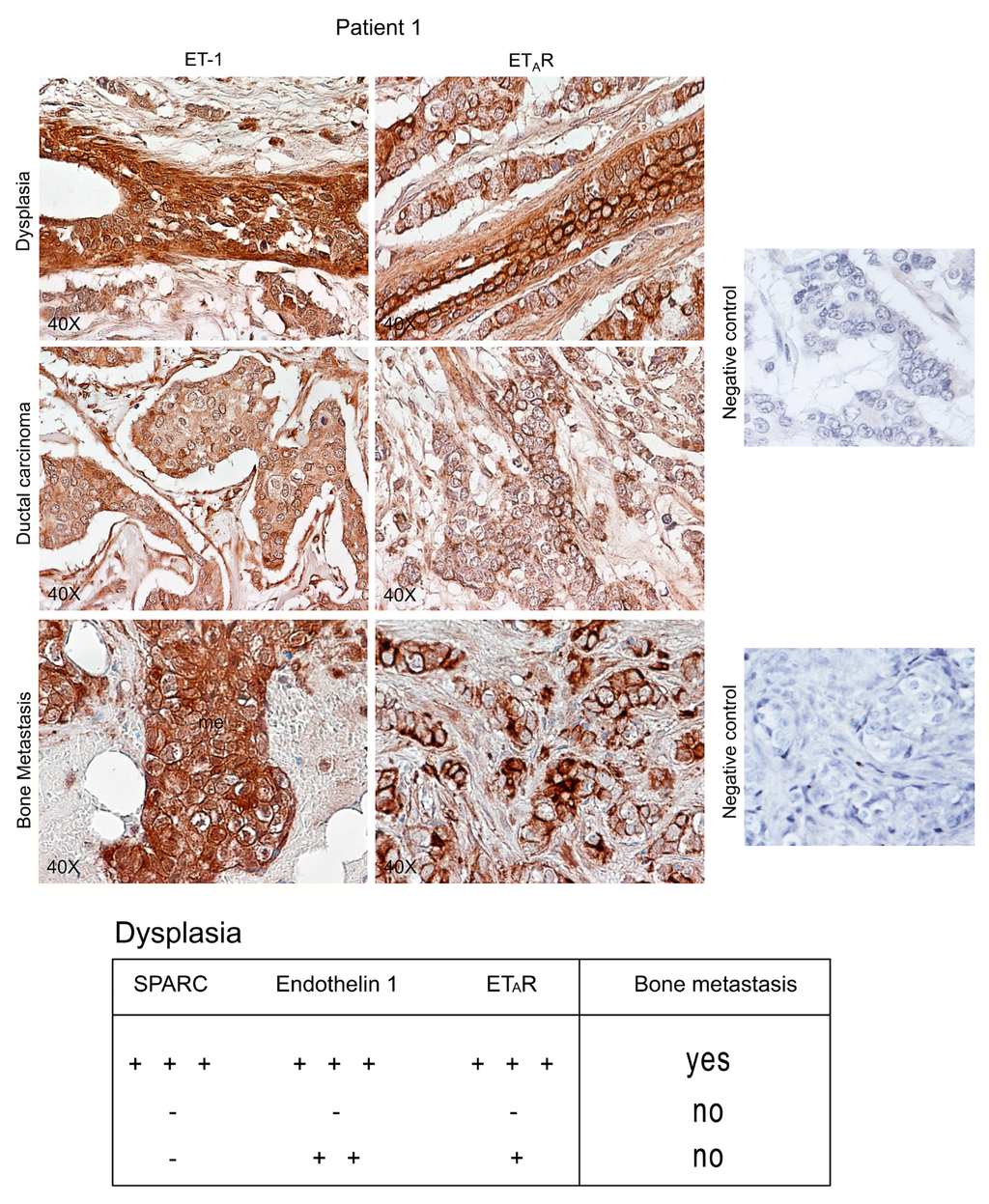 Ijms 16 25997 g007 1024