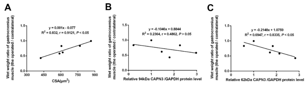Ijms 16 26003 g002 1024
