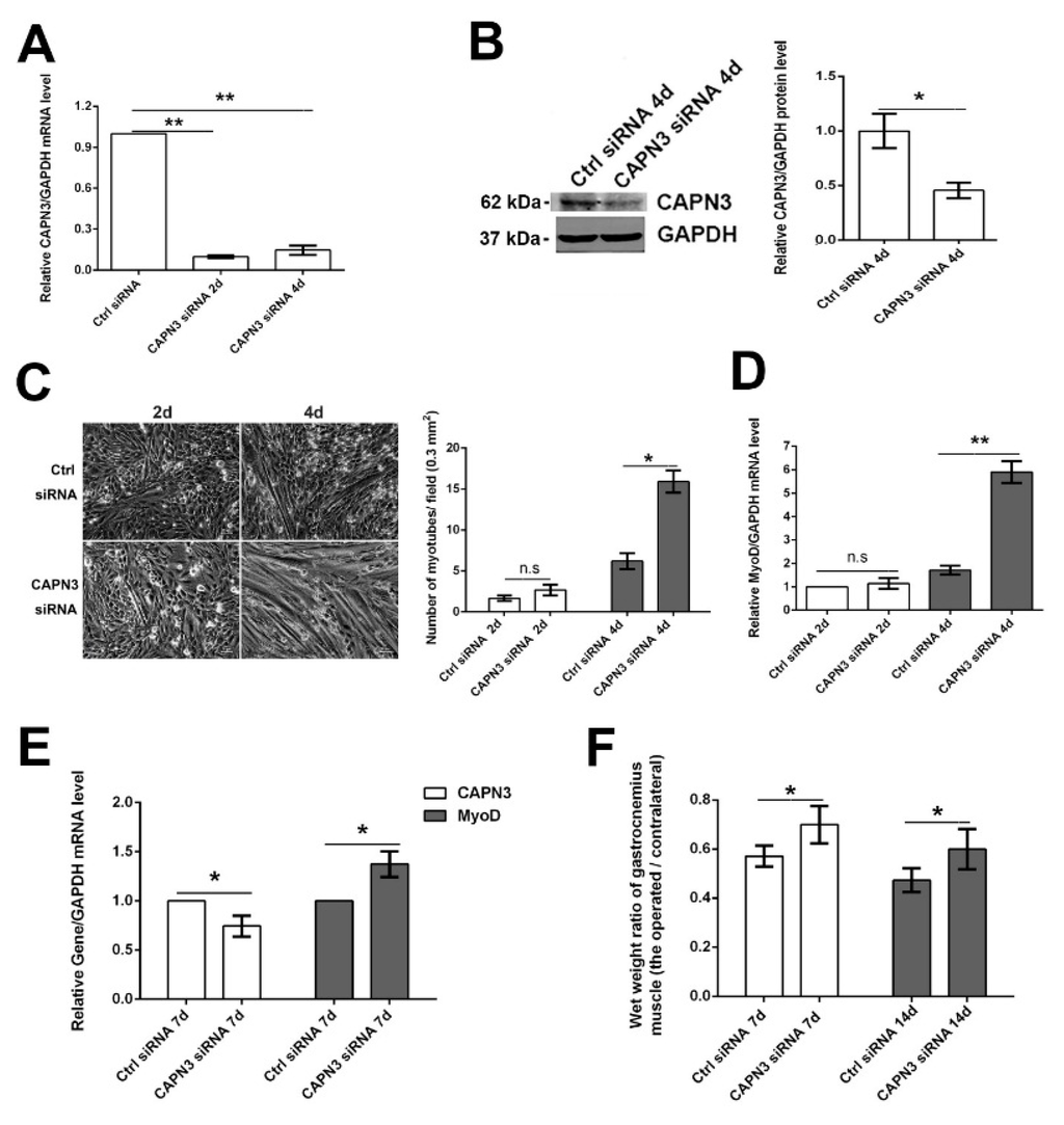 Ijms 16 26003 g003 1024