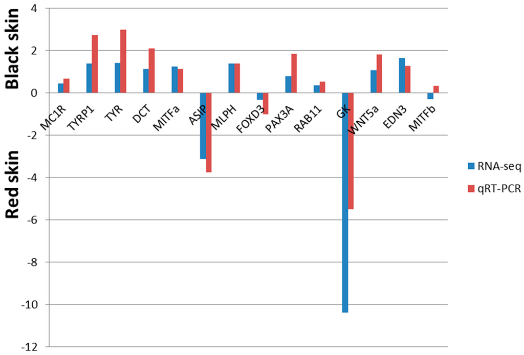 Ijms 16 26005 g004 1024