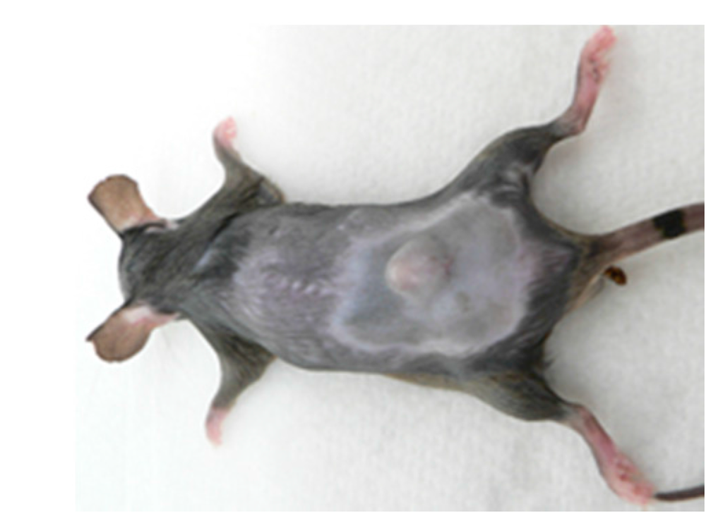 Ijms 16 26008 g007 1024