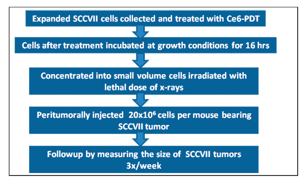 Ijms 16 26008 g008 1024