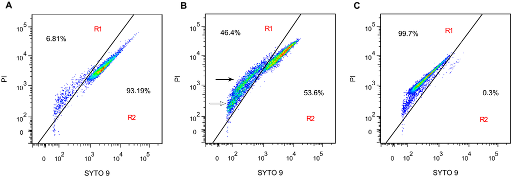 Ijms 16 26015 g003 1024