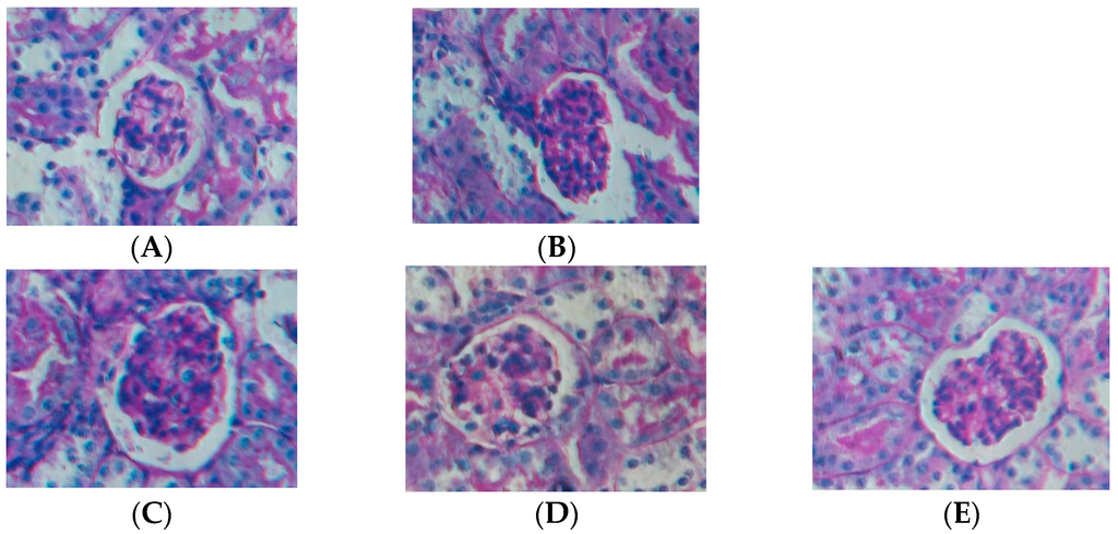 Ijms 16 26021 g001 1024