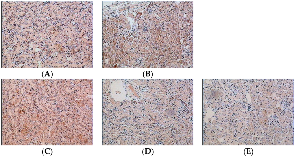 Ijms 16 26021 g002 1024