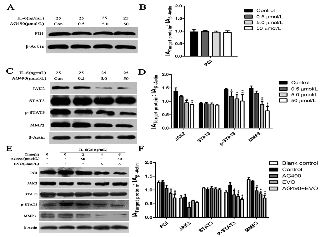Ijms 16 26031 g004 1024