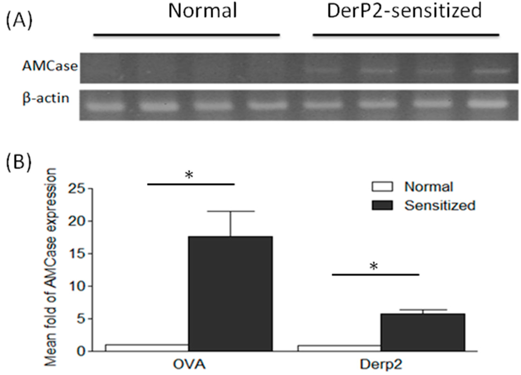 Ijms 16 26033 g001 1024