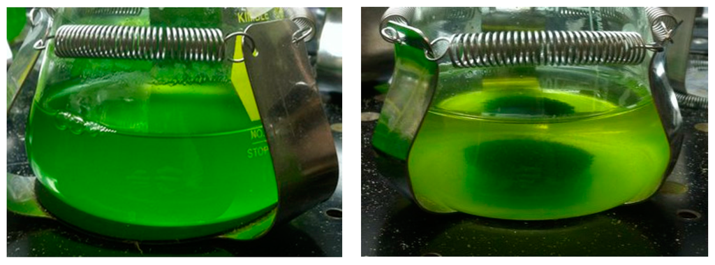 Ijms 16 26035 g004 1024