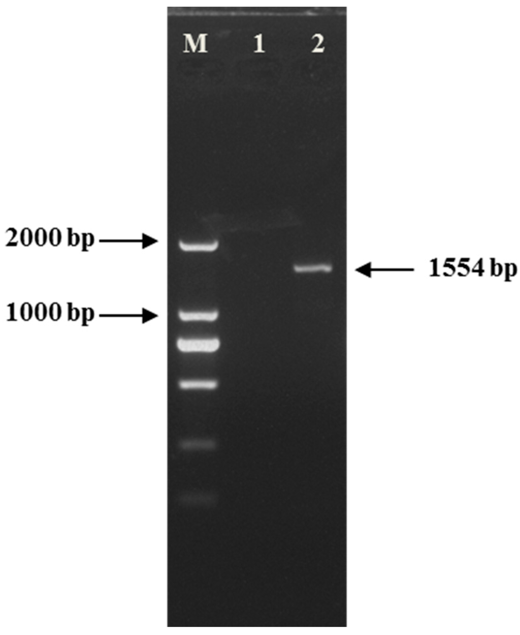 Ijms 16 26038 g001 1024