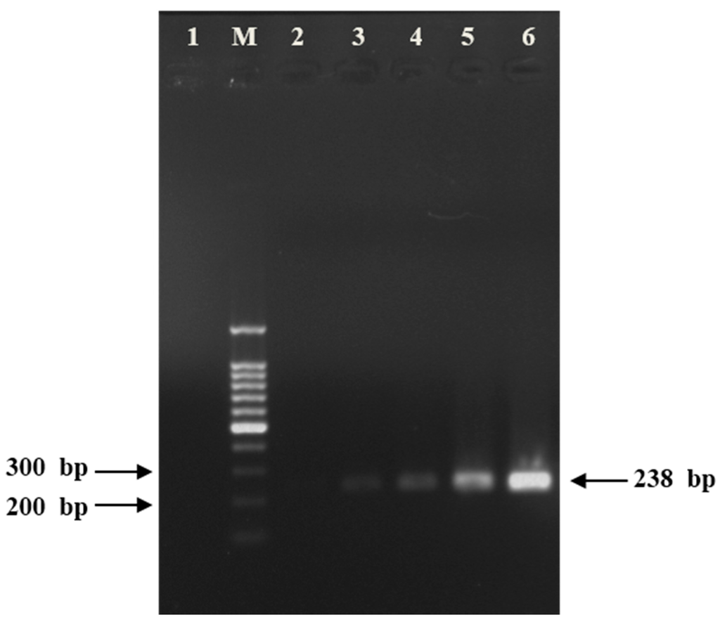 Ijms 16 26038 g003 1024