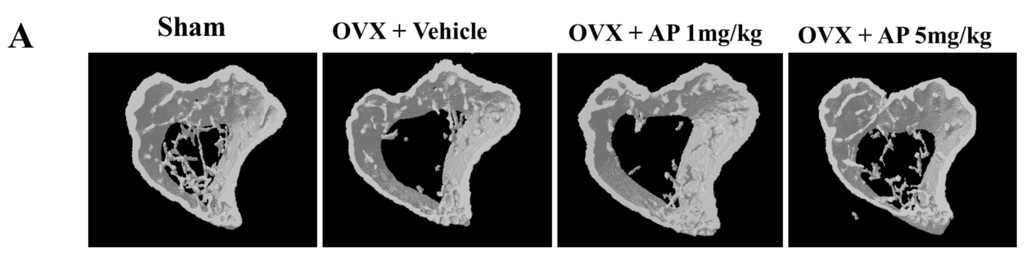 Ijms 16 26039 g001a 1024