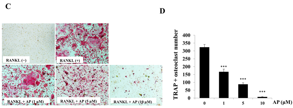 Ijms 16 26039 g002b 1024