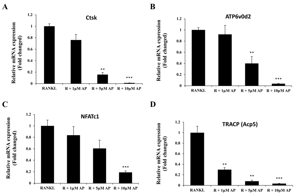 Ijms 16 26039 g003 1024