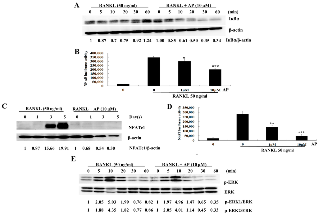 Ijms 16 26039 g004 1024