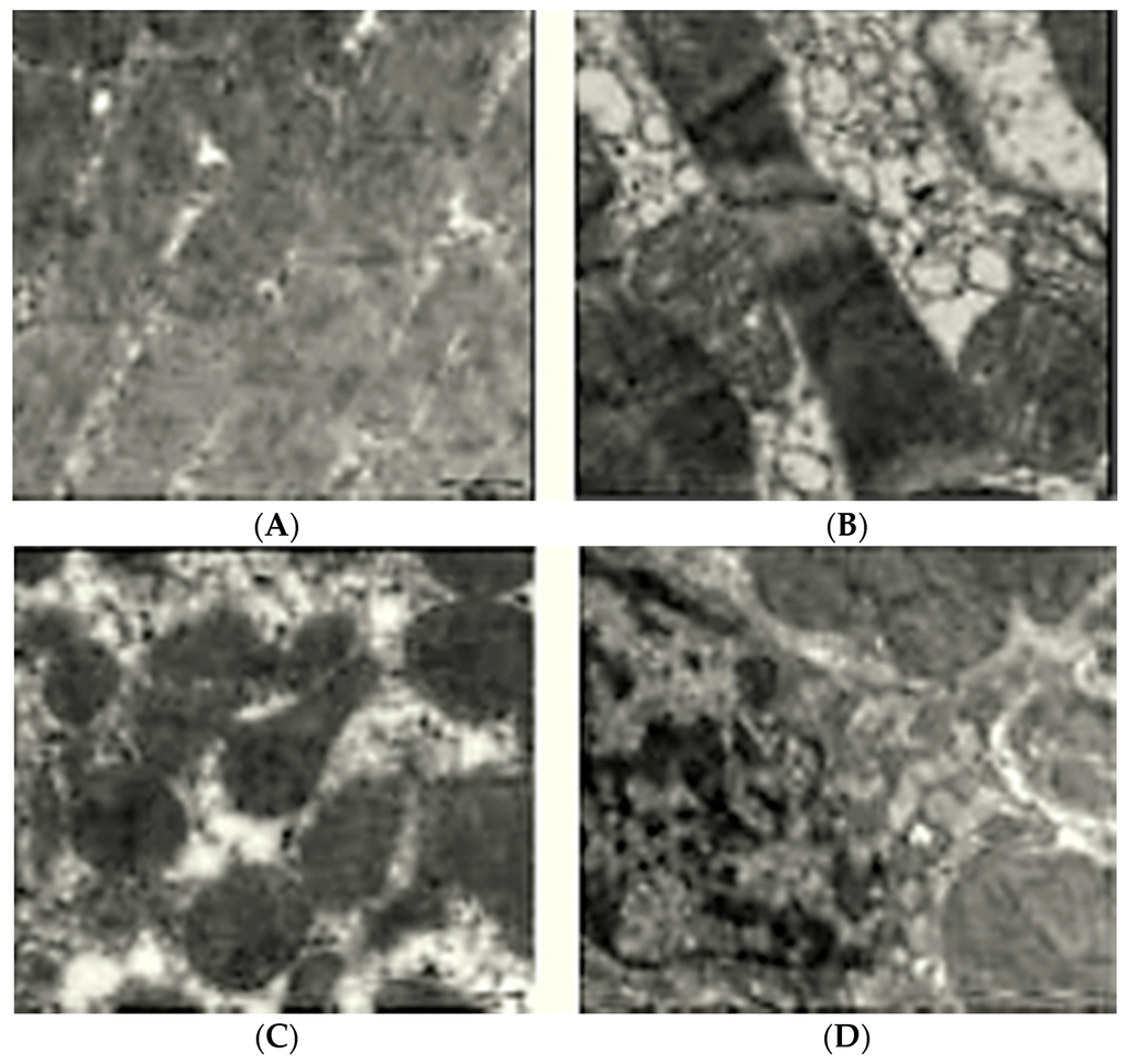 Ijms 16 26040 g003 1024