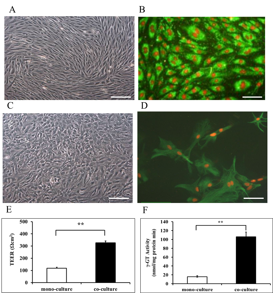 Ijms 16 26051 g002 1024