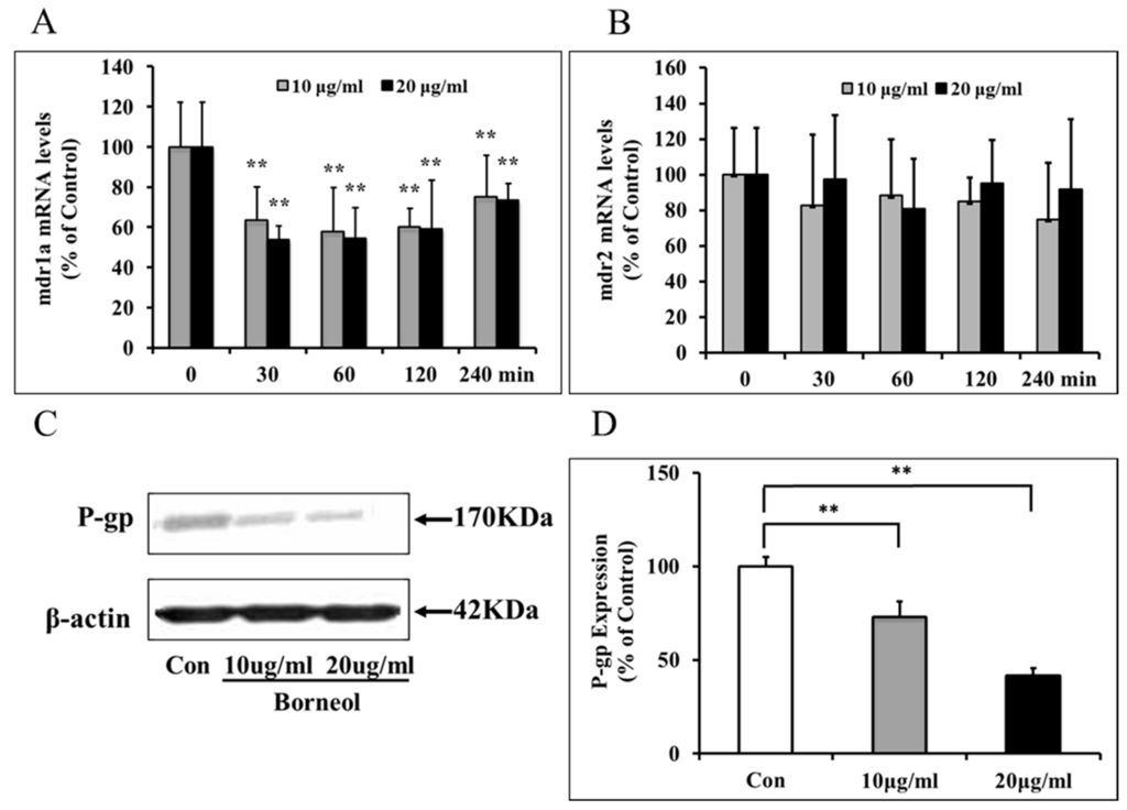 Ijms 16 26051 g004 1024