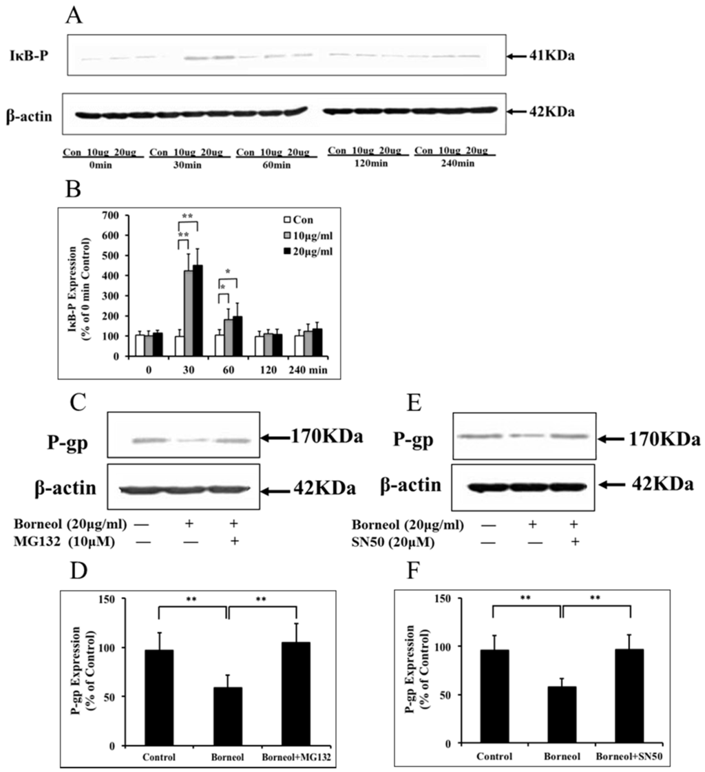 Ijms 16 26051 g005 1024