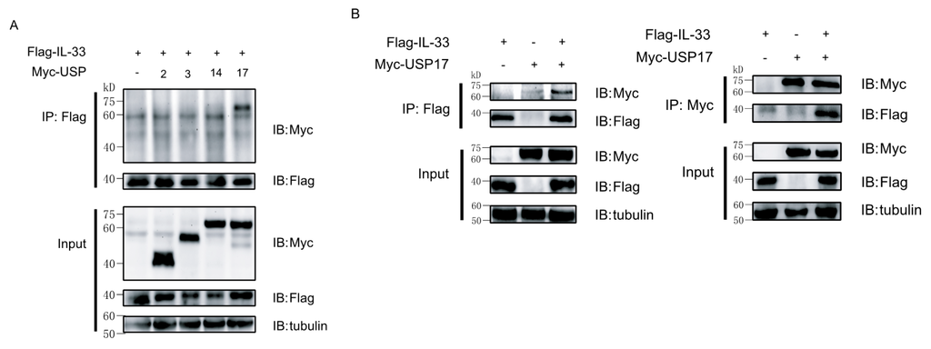Ijms 16 26063 g002 1024