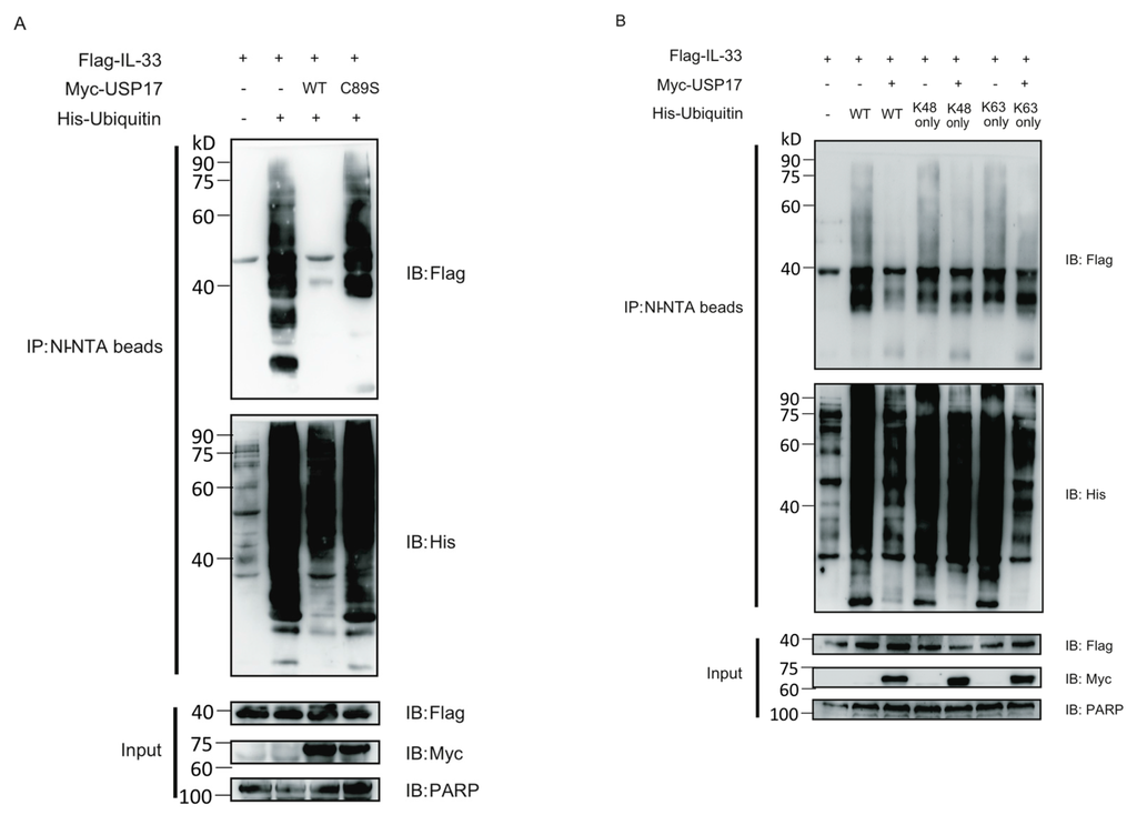 Ijms 16 26063 g003 1024