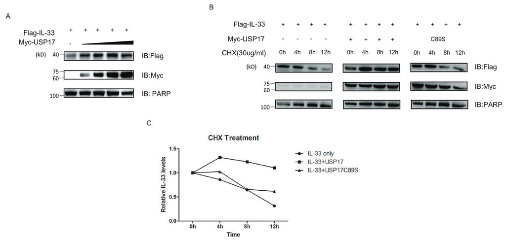 Ijms 16 26063 g004 1024