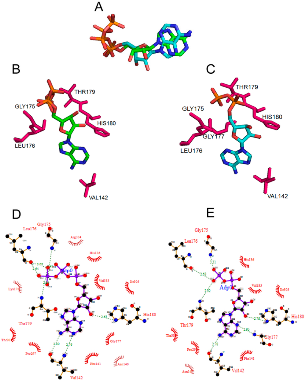Ijms 16 26064 g001 1024