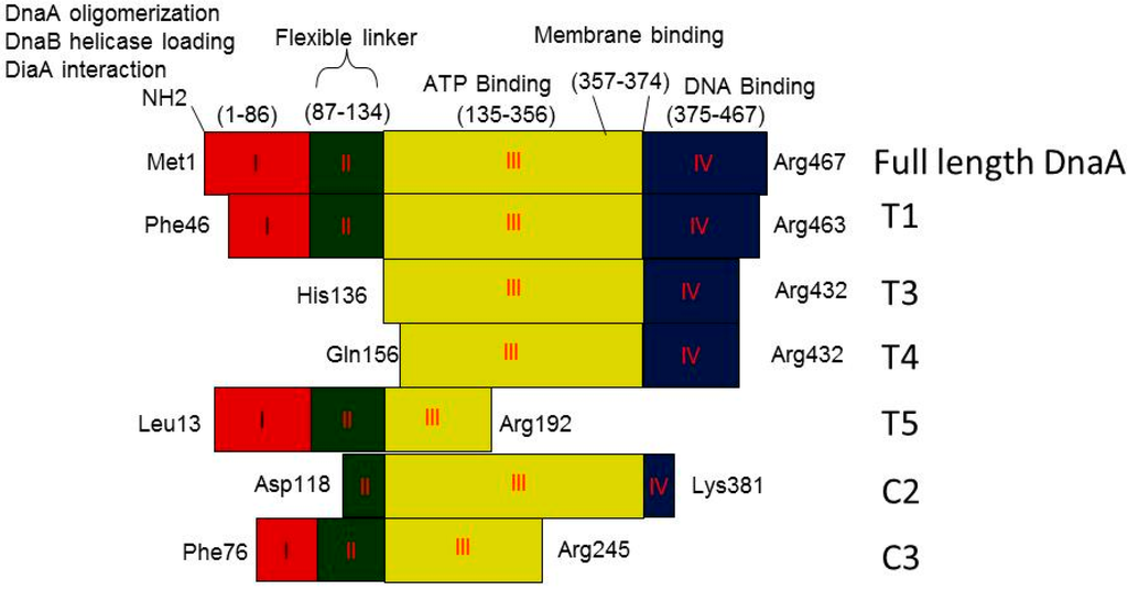 Ijms 16 26064 g004 1024