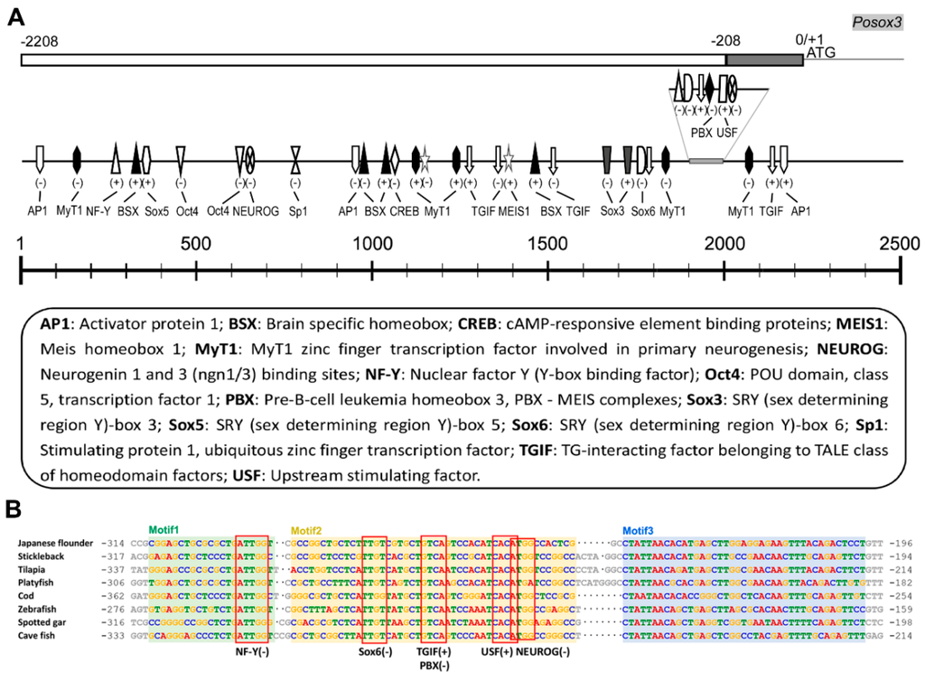 Ijms 16 26079 g003 1024