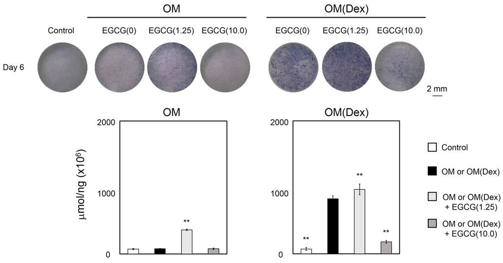 Ijms 16 26081 g002 1024