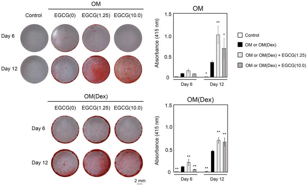 Ijms 16 26081 g003 1024