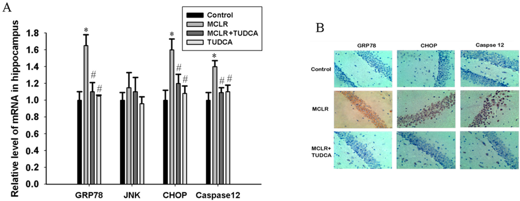 Ijms 16 26083 g003 1024