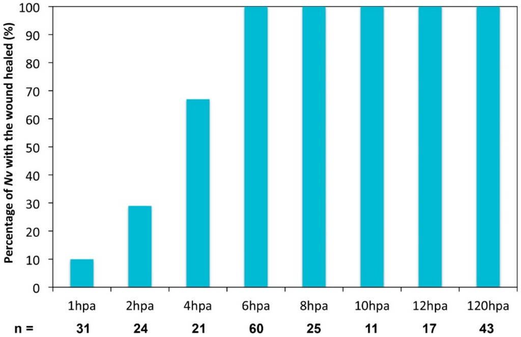 Ijms 16 26100 g005 1024