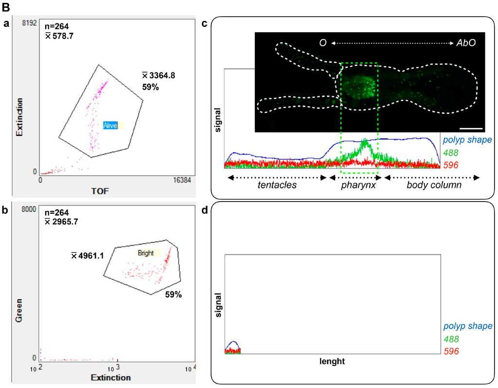 Ijms 16 26100 g007b 1024