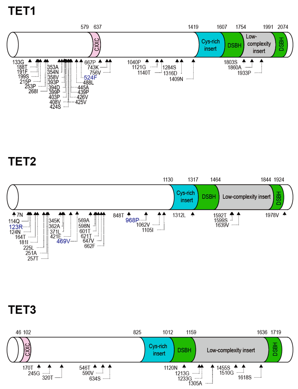 Ijms 16 26110 g001 1024