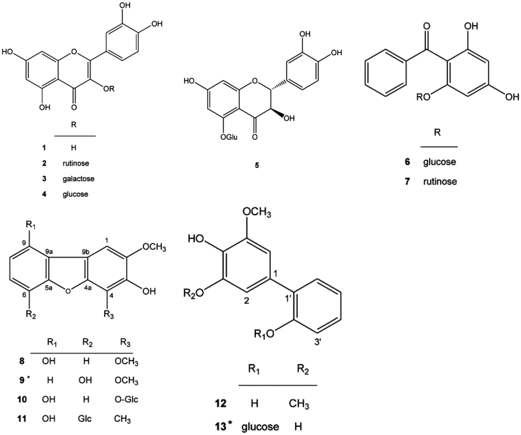 Ijms 16 26115 g001 1024