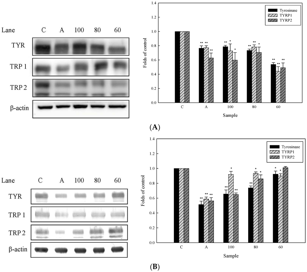Ijms 16 26115 g004 1024