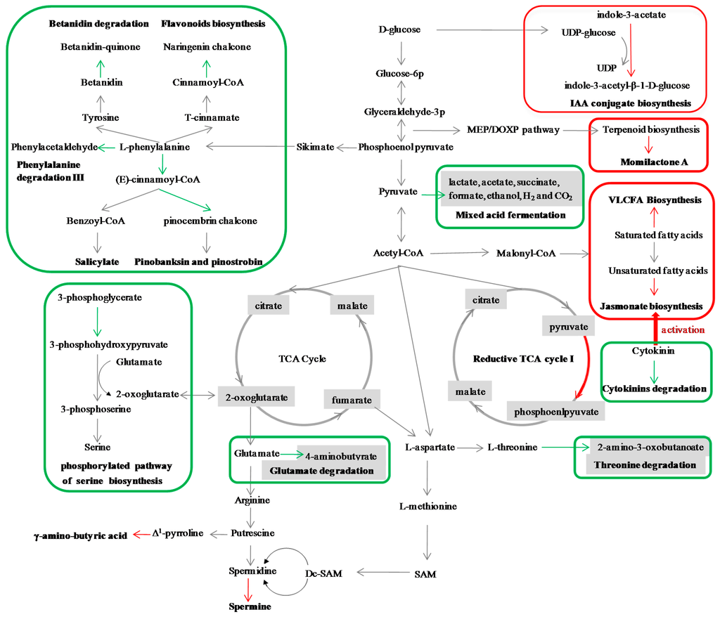 Ijms 16 26128 g002 1024