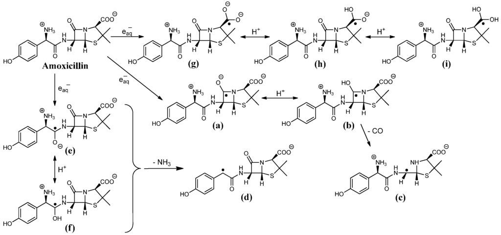 Ijms 16 26130 g004 1024